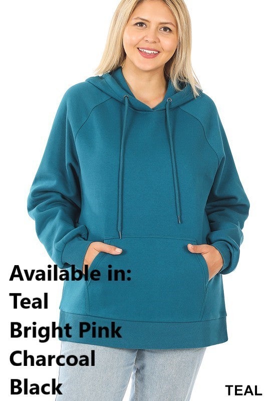 Hooded Lined Hoodie Sweatshirt. Thick and Warm. Variety of Colors.