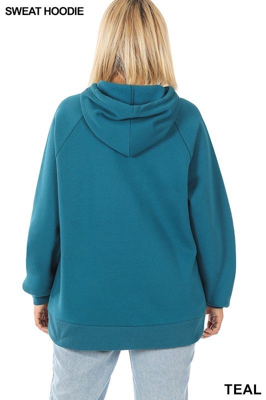 Hooded Lined Hoodie Sweatshirt. Thick and Warm. Variety of Colors.